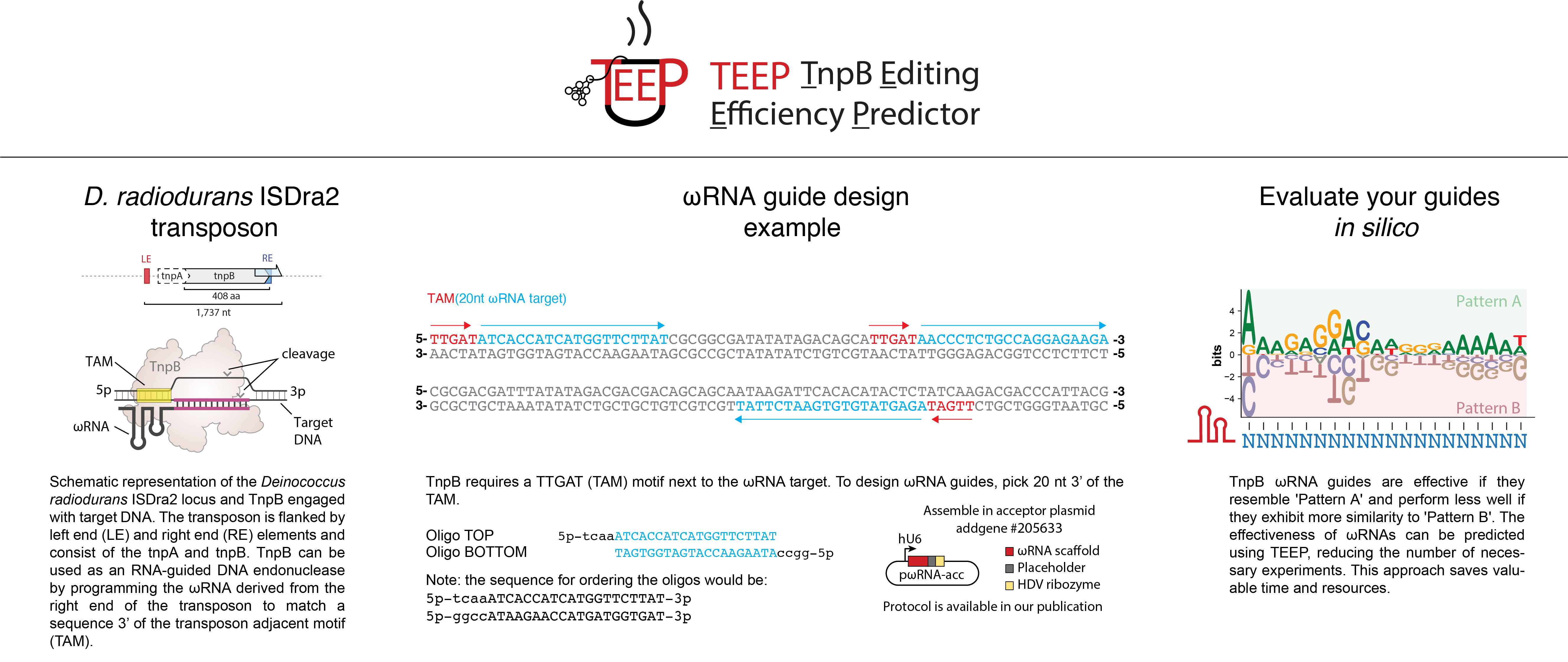teep image
